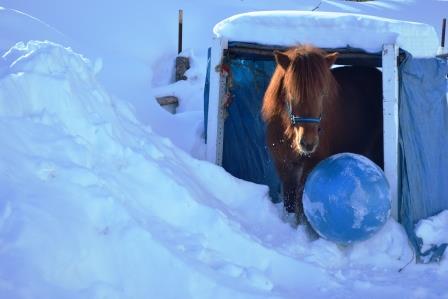 Tyra kicks ball through tunnel